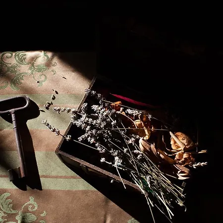 Alegra Podgora (Split-Dalmatia)