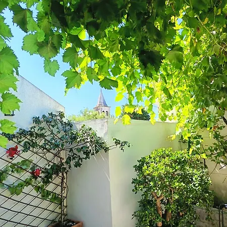 Alegra Podgora (Split-Dalmatia)