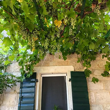 Alegra Сasa de vacaciones Podgora (Split-Dalmatia)