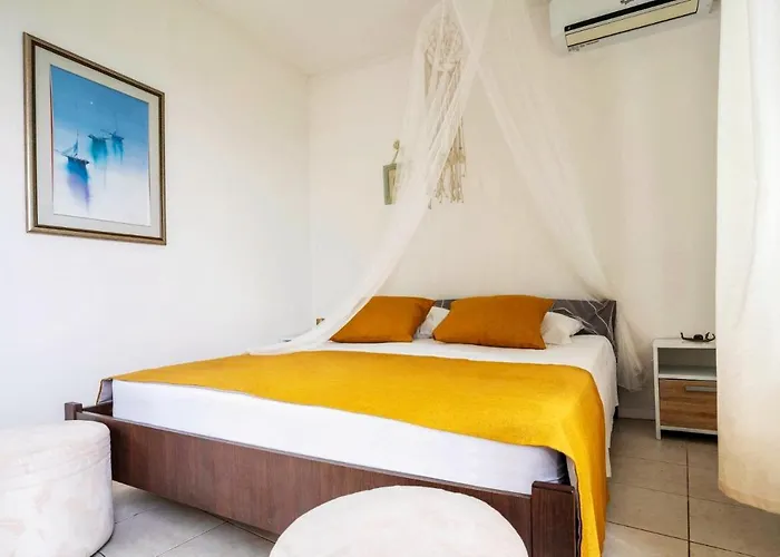 Alegra * بودغورا