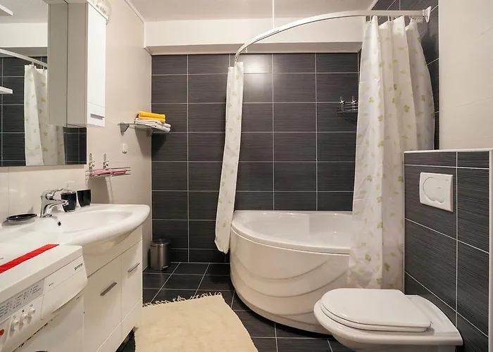 Alegra بودغورا