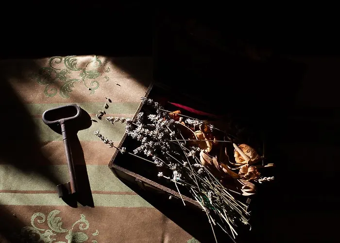 Alegra Podgora (Split-Dalmatia)